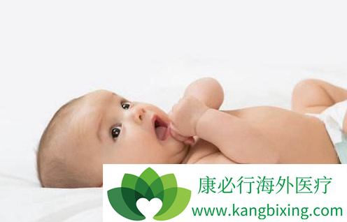 苏主任